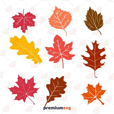 Fall Leaves Bundle Svg Cut And Clipart Files Premiumsvg