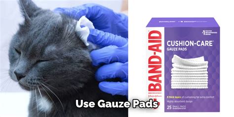 How To Bandage A Cats Neck Explained In 10 Steps