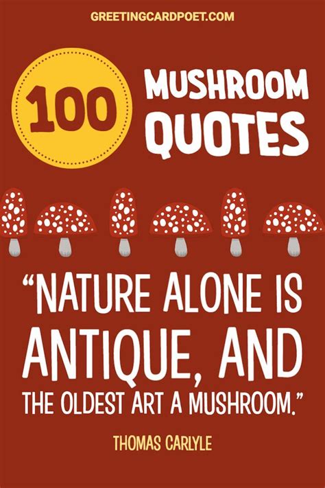 100 Mushroom Quotes And Fungi Captions To Grow On Stuffed Mushrooms