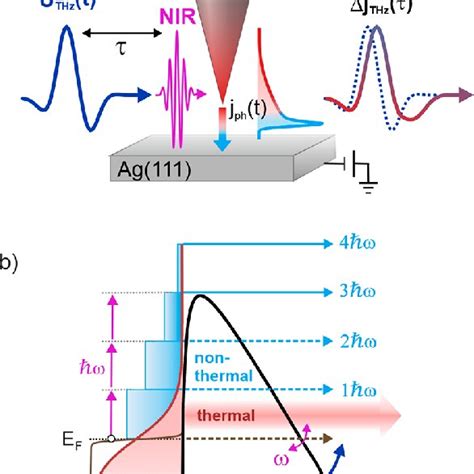 Real Time Sampling Of Ultrafast Thermionic Currents In A Photoexcited