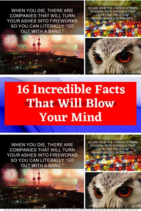 An Owl S Face With The Words Incredible Fact That Will Blow Your Mind