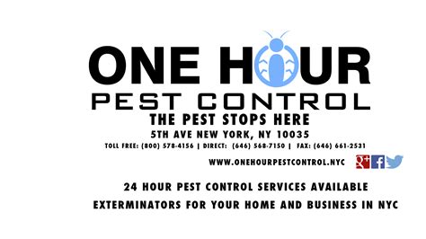 Top 10 Pest Control Companies Near Me Last Updated February 2024