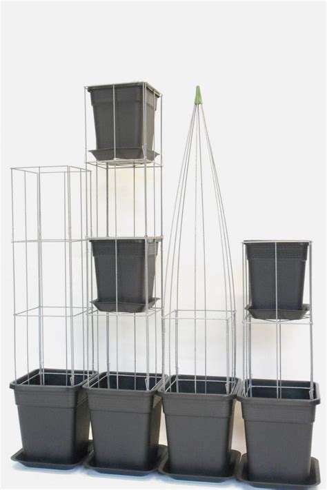 Modular Wire Column System To Support Plant Perfectly Climbing Plants Grow And Flower Better