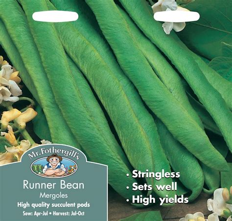 Mr Fothergills Pictorial Packet Vegetable Runner Bean Hestia