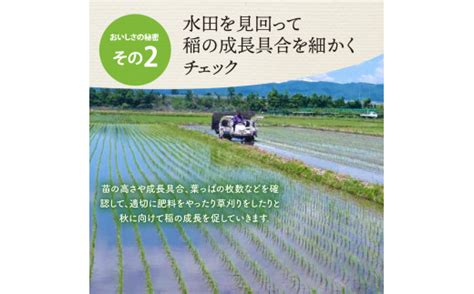 【令和6年産米】※2024年10月下旬スタート※ はえぬき60kg（10kg×6ヶ月）定期便 山形県産 【jaさがえ西村山】 山形県河北町 セゾンのふるさと納税