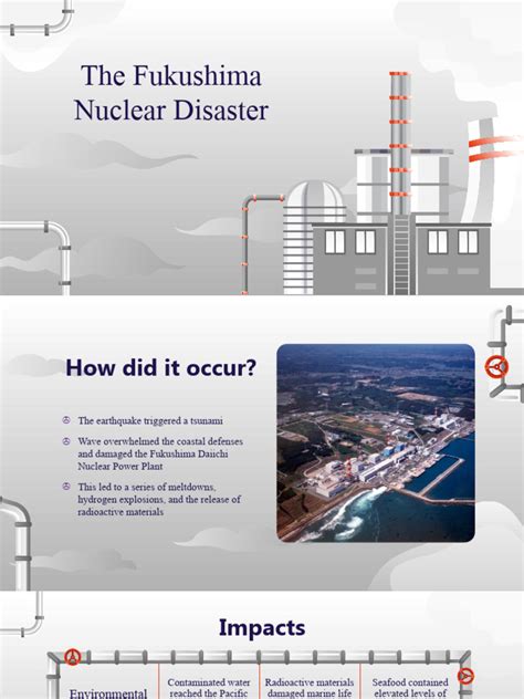 The Fukushima Nuclear Disaster | PDF