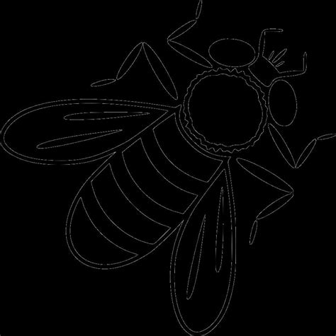 Download Bee Line Art Illustration