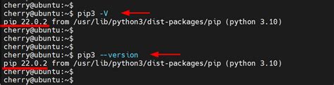 How To Install PIP On Ubuntu 22 04 Step By Step Cherry Servers