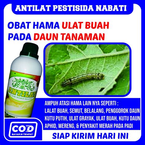 Jual Bayar Ditempat Antilat Pestisida Ml Organik Obat Atasi Hama