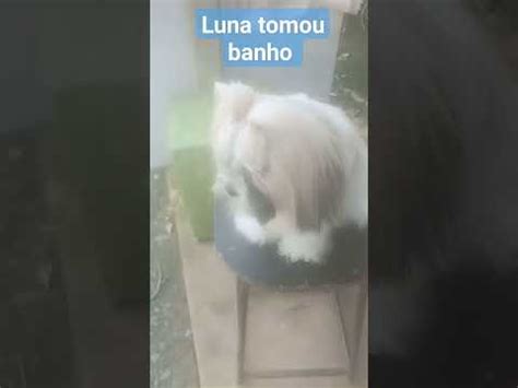 Luna Tomou Banho Meugrude Luna Princesa YouTube