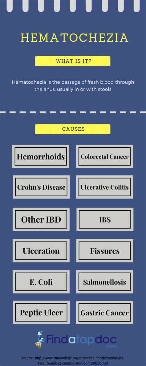 What Is Hematochezia : Symptoms and Causes – FindaTopDoc Blog