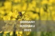 Odmiany Rzepaku 2023