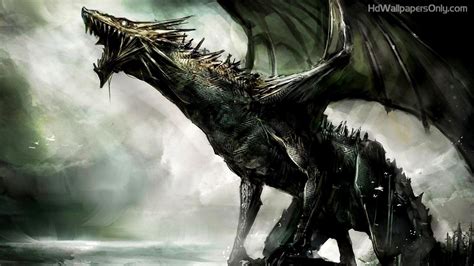 Realistic Dragon Wallpapers Top Free Realistic Dragon Backgrounds