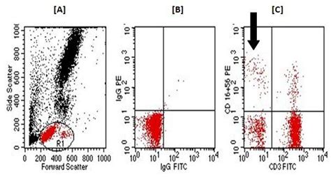 Illustrates Gating Strategy For Nk Cells Detection A Dot Plot For