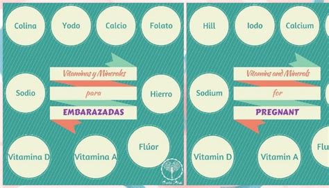 Vitaminas Y Minerales Para Embarazadas