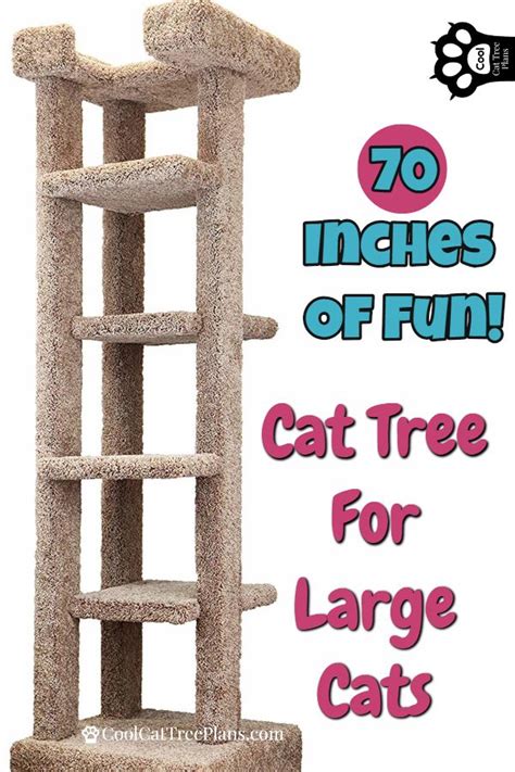 Cat Furniture Five Tier Carpeted Cat Tree For Large Cats Elegant