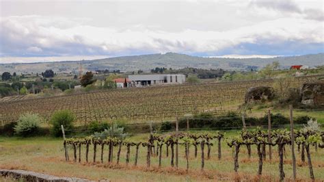 Holofotes No Produtor Quinta Dos Termos Garrafeira Grande Reserva