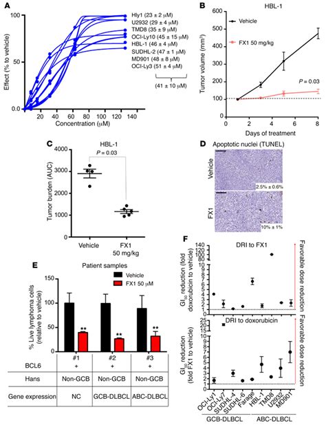 Fx Suppresses The Growth Of Abc Dlbcls A Abc Dlbcl Cells Were