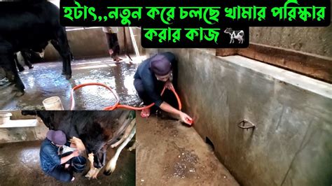 হটাৎখামারে নতুন করে চলছে পরিস্কার করার কাজ 🐄 Youtube