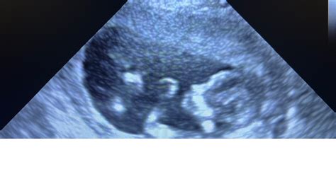 Remembering the Life and Legacy of Amador Jimenez 18