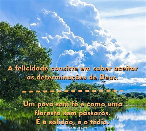 Frase Com A Palavra Floresta - Pin de Jeane Lima em Frases | Mensagem para você, Floresta, Pássaros