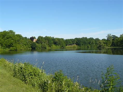 Free photo: Natural Beauty of Hidden Lake Gardens - Bloom, Flowers