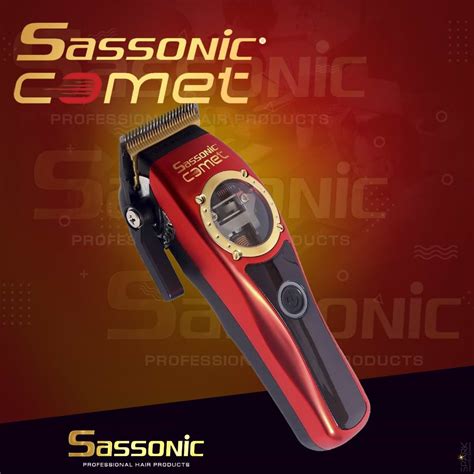 Sassonic