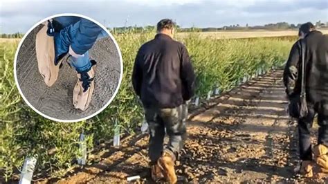 El Genial Invento De Un Andaluz Para Evitar Que El Barro Se Pegue En