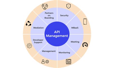 What Is Api Management 🚀 Explanation From Wallarm