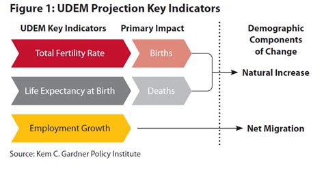 Insight Demographic Inputs For Projections Kem C Gardner Policy