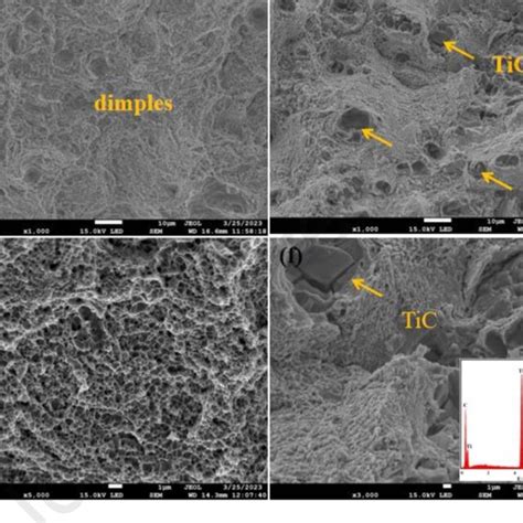 Sem Image Of Fracture Morphology Sem Analysis Was Performed On The