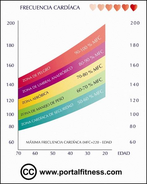 Tests On Line Para Calcular La Frecuencia Card Aca Para El Ejercicio