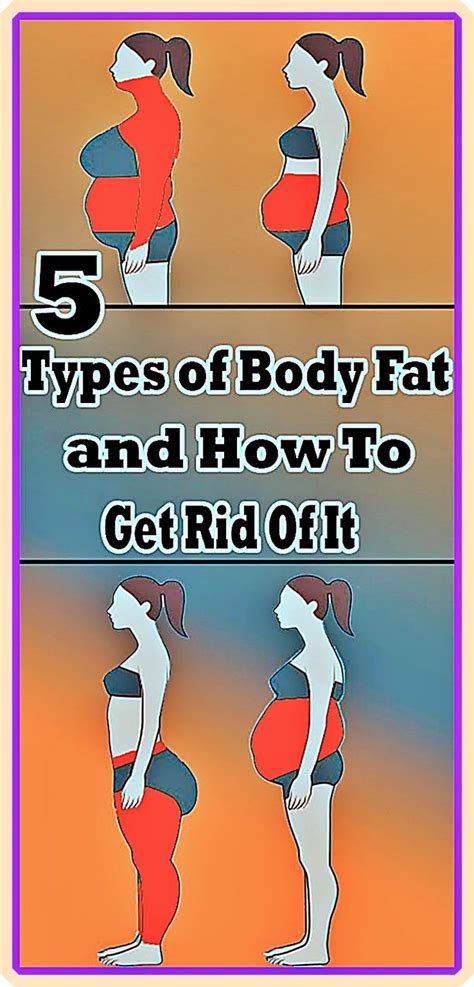 5 Types of Body Fat and | Body fat, Body, Fat