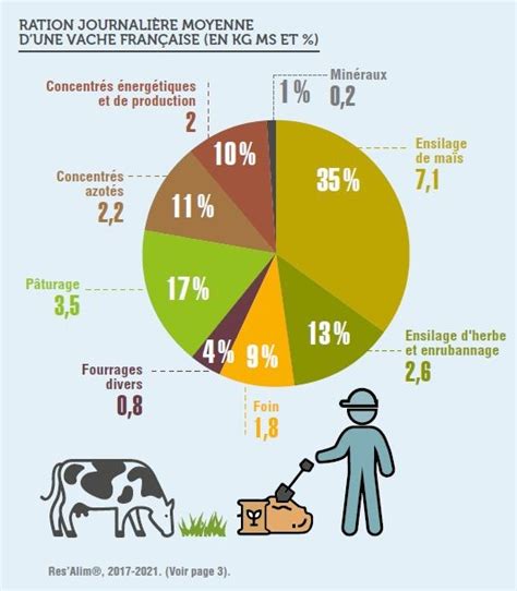 Quelle Est L Alimentation D Une Vache En France