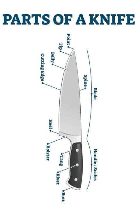 Knife Diagram Knife Anatomy Kershaw Canada