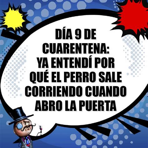 D A De Cuarentena Ya Entend Por Qu El Perro Sale Corriendo Cuando