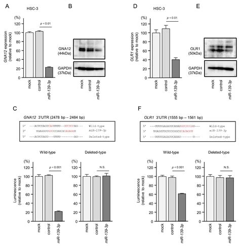 Ijms Free Full Text Impact Of Oncogenic Targets By Tumor