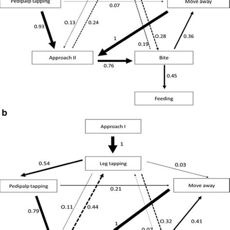 Flow Diagram Of Prey Capture Behaviors In Loxosceles Rufipes Against