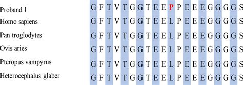 Frontiers Whole Exome Sequencing Revealed Mutations Of Med12 And