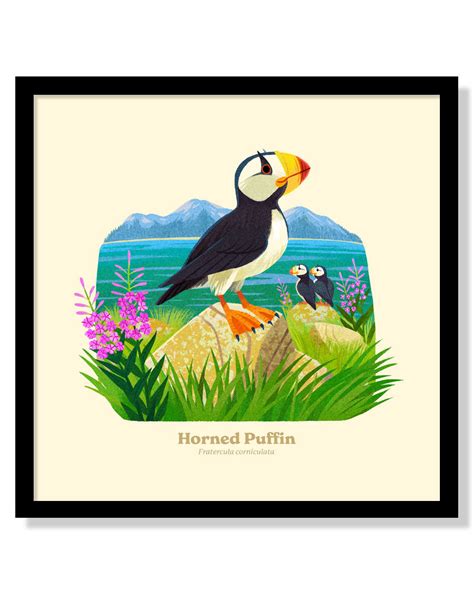 Horned Puffin National Park Alphabet Print – Fifty-Nine Parks