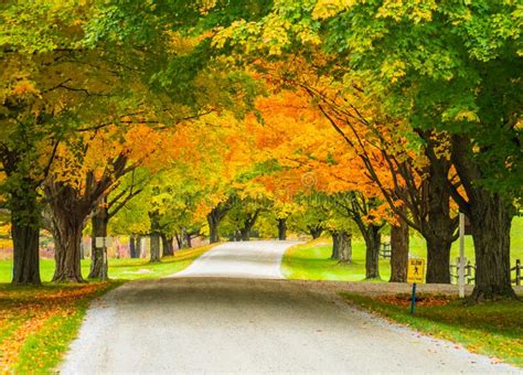 Autumn in Vermont Down a Rural Road Stock Image - Image of landscape, grass: 260727047