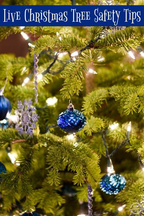 Live Christmas Tree Safety Tips Kids Activities Blog