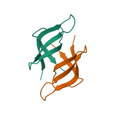 RCSB PDB 8JVS Crystal Structure Of The Chimeric Protein TkoL2 V1