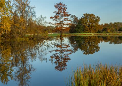 Elevation of Lake Saint Louis, Lake St Louis, MO, USA - Topographic Map