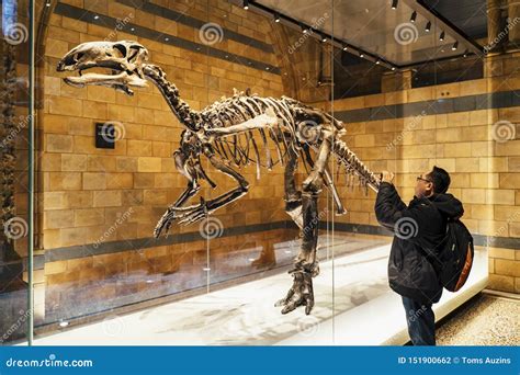 Huge Dinosaur Bones At Central Hall Natural History Museum Editorial