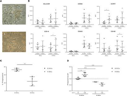 Frontiers Tumor Derived Microvesicles Enhance Cross Processing