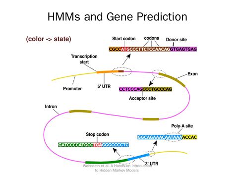 An Introduction To Hidden Markov Models Hmm Gep Community