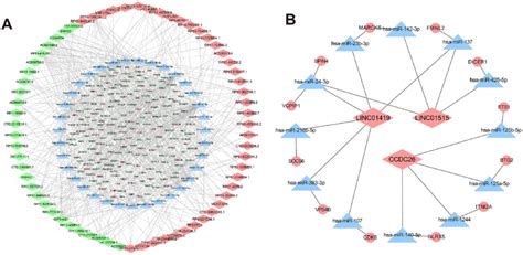 Cerna Networks In The K Adr Cell Line Analysis Of Lncrna Mirna Mrna