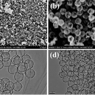 A And B Sem C Tem D F Hrtem Images And G Eds Maps Of The