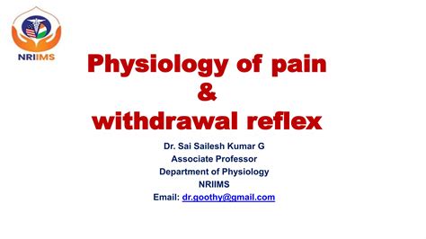 Physiology of pain & withdrawal reflex.pptx